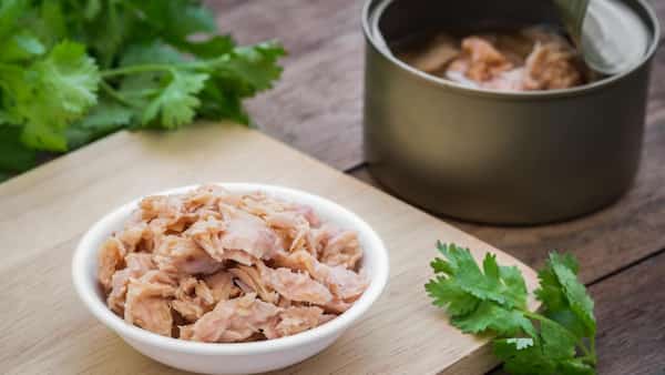 خرید کنسرو تن ماهی هوور قیمت فروش استثنایی